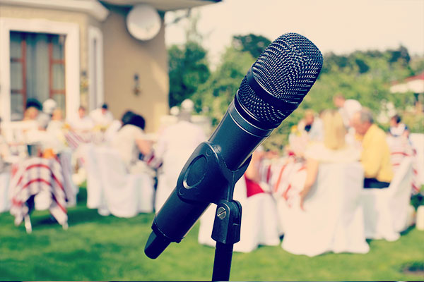 Wedding Microphone